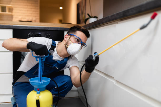 Pest Control for Restaurants in La Mesa, CA