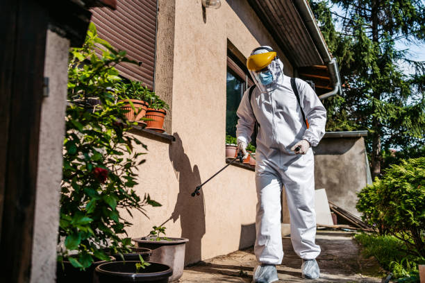Best Pest Control Near Me  in La Mesa, CA