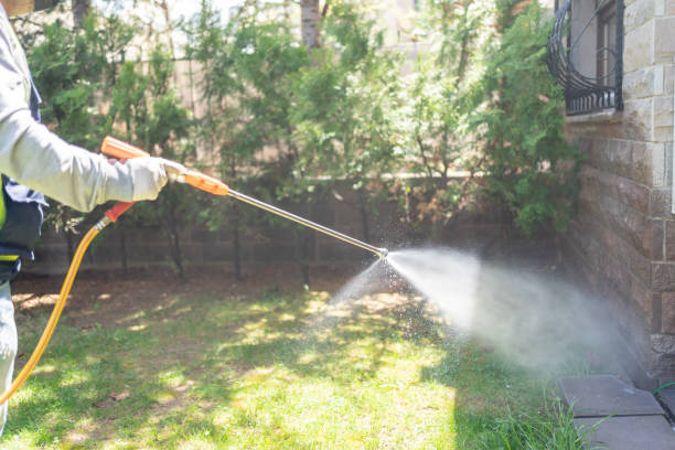 Best Pest Control Near Me  in La Mesa, CA