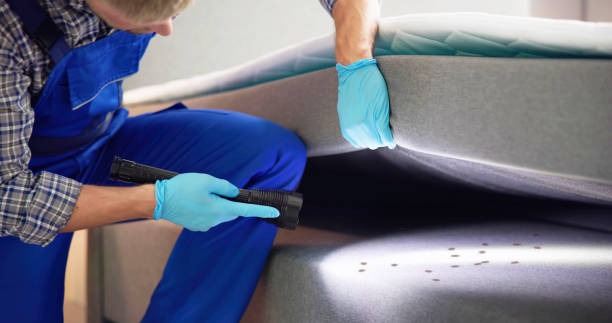 Best Best Pest Control Companies  in La Mesa, CA